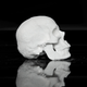 Illustration for article titled This full-size human skull is made out of cocaine